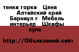 cтенка-горка › Цена ­ 4 000 - Алтайский край, Барнаул г. Мебель, интерьер » Шкафы, купе   